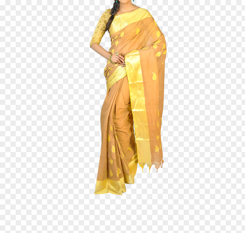 Dress Silk Sari PNG