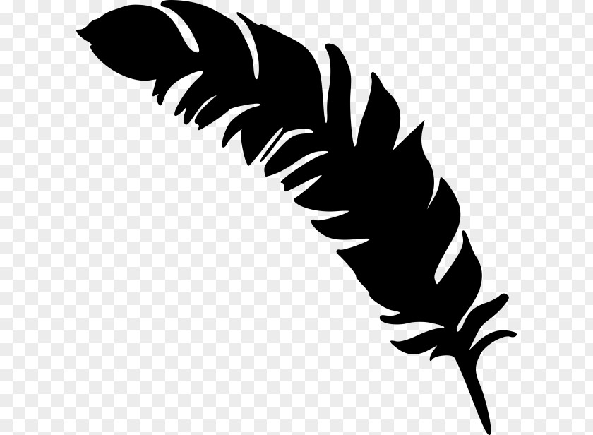 Feather Drawing PNG