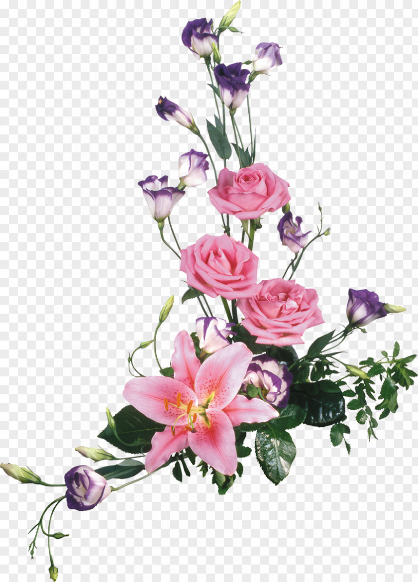 Floral Flower Drawing Clip Art PNG