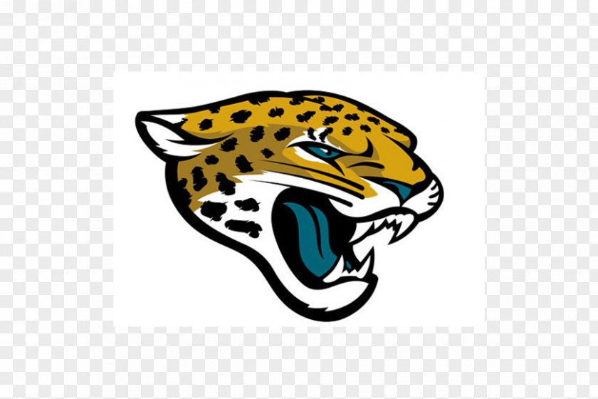 NFL 2018 Jacksonville Jaguars Season Denver Broncos EverBank Field PNG