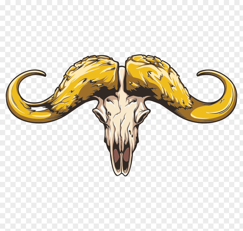 Skull Cattle Horse Animal Totenkopf PNG