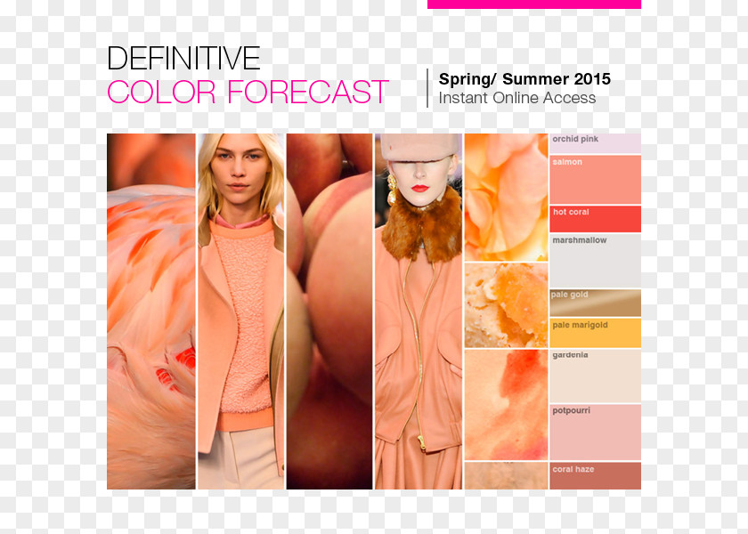 Trend Colors Fashion Forecasting Orange Color Peach PNG