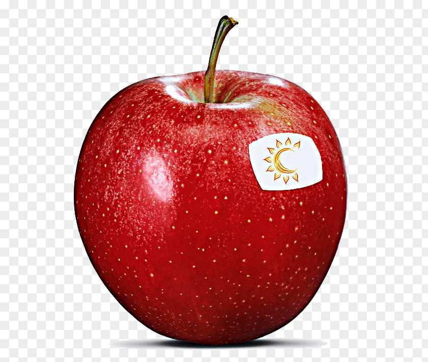 Apple South Tyrolean PGI Gala Red Delicious PNG