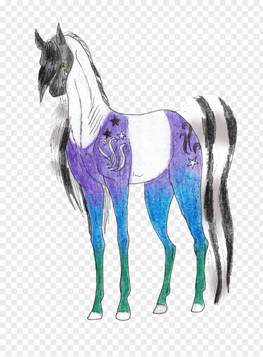 Field Of Forget Me Nots Mustang Stallion Illustration Pack Animal Purple PNG