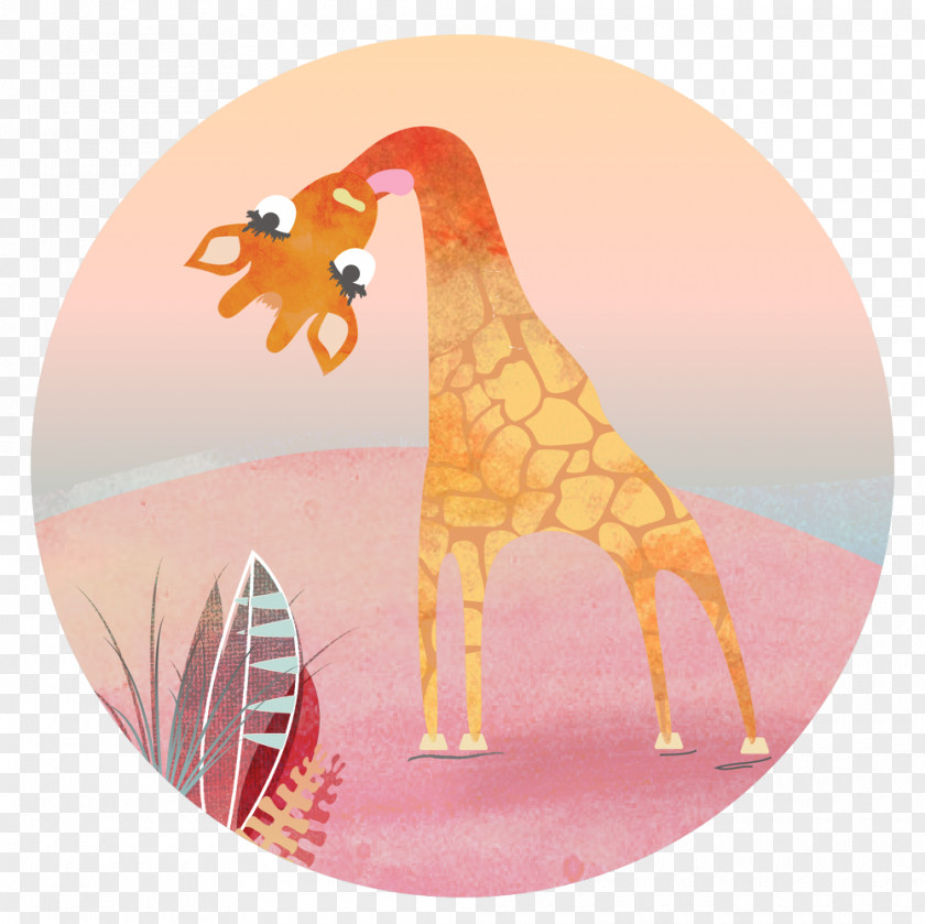 Giraff Giraffe Animal Mammal Giraffidae PNG