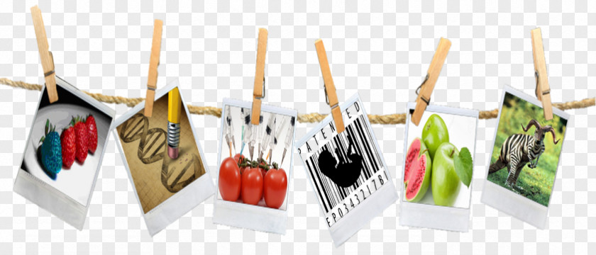 Hanging Polaroid Genetically Modified Food Crops Plastic PNG