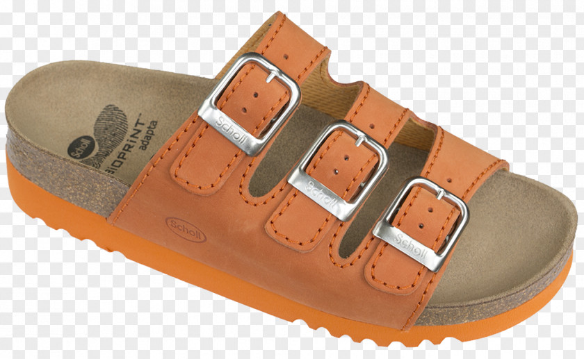 Sandal Slipper Shoe Birkenstock Leather PNG