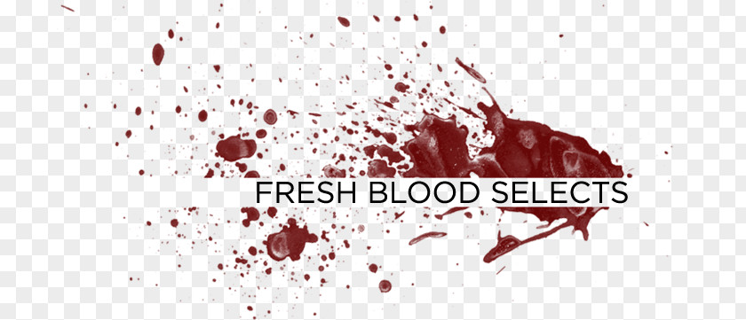 Cold Blooded Blood List Screenplay Film Director Writer PNG