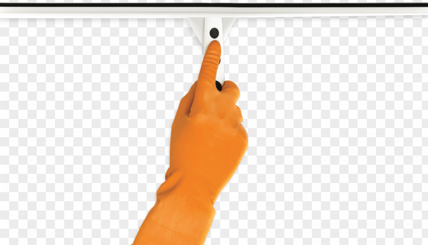 Einstein Show Hand Arm Finger Joint Shoulder Thumb PNG
