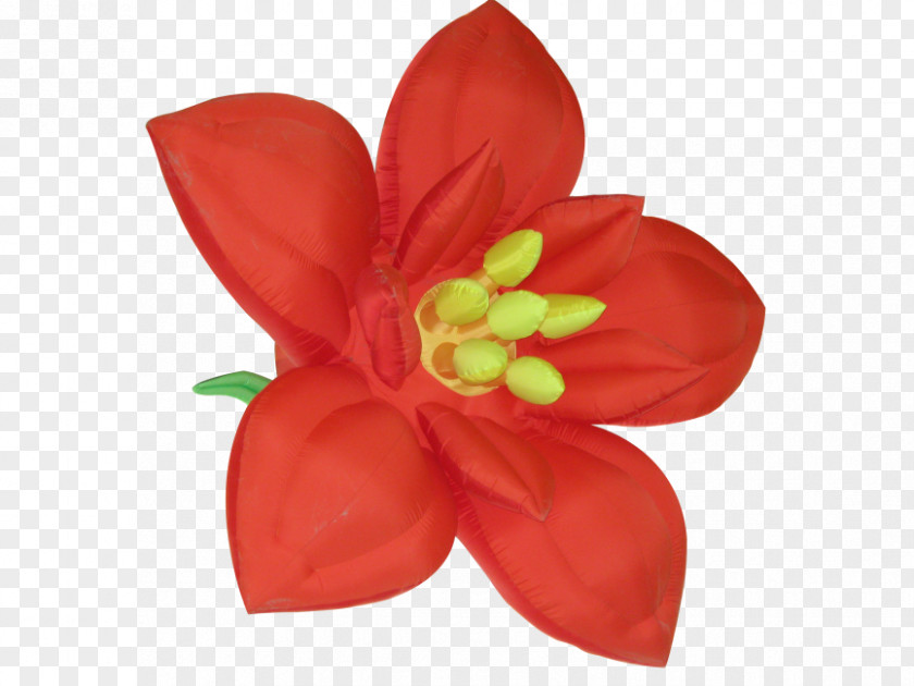 Flower Red Clip Art Image PNG