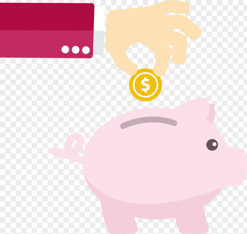 Money Saving Piggy Bank Domestic Pig Personal Finance PNG