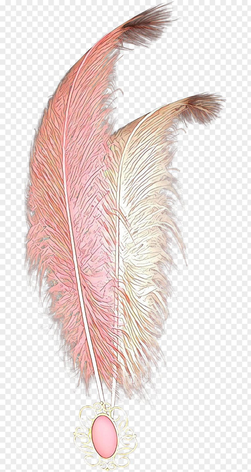 Tail Natural Material Feather PNG