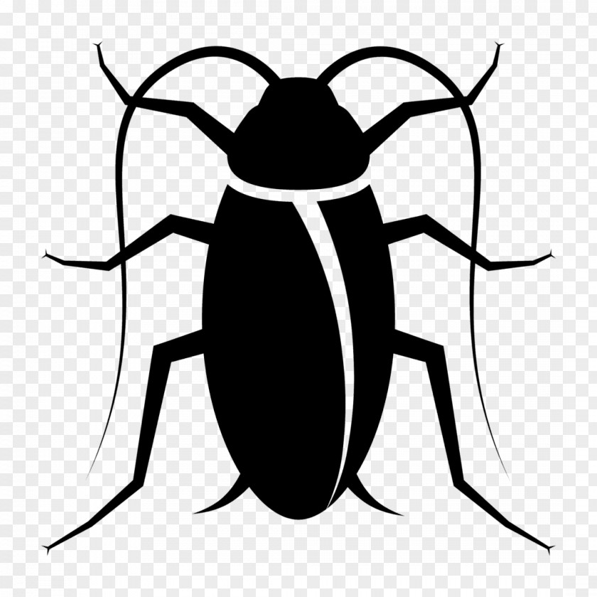 Termite Cockroach Insect Vector Graphics Roach Bait PNG