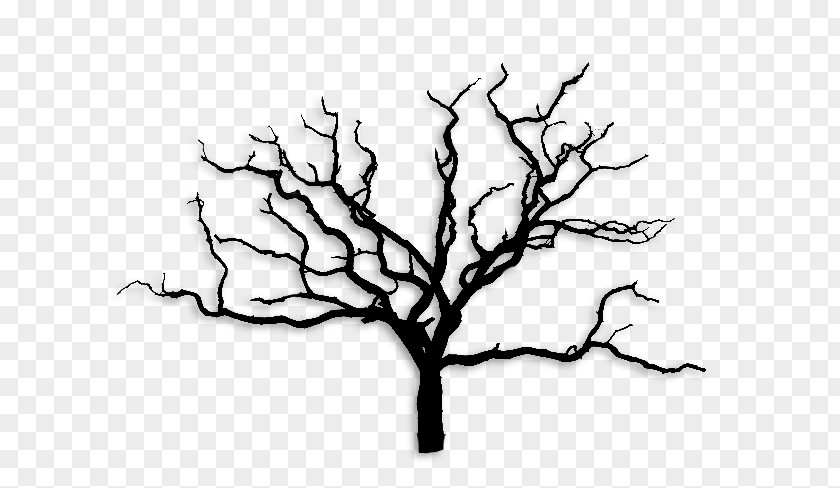 Tree Wall Decal Branch PNG