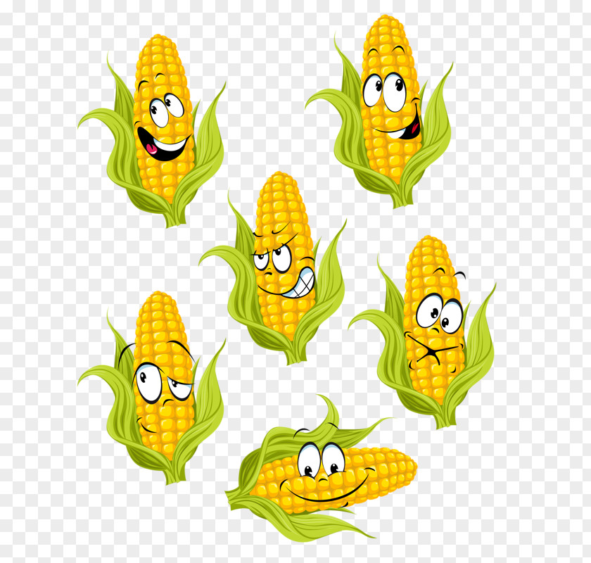 Yellow Maize Ear Painting Cartoon PNG