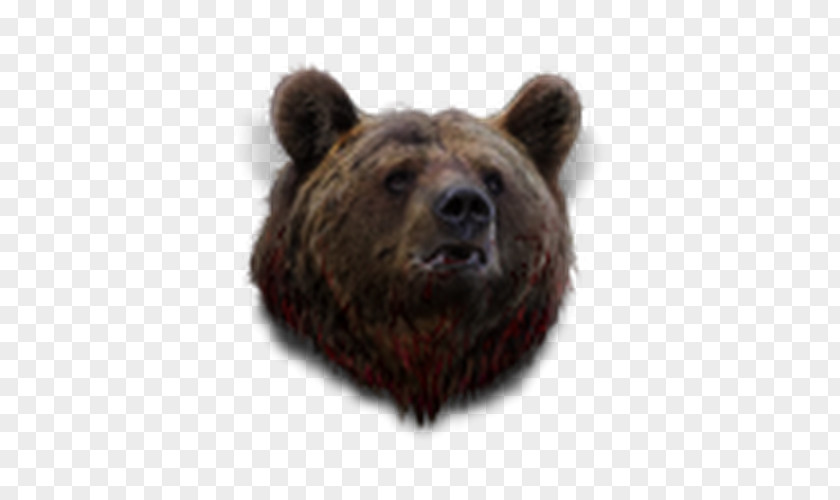 Bear Grizzly Brown Life Is Feudal: Your Own Animal PNG