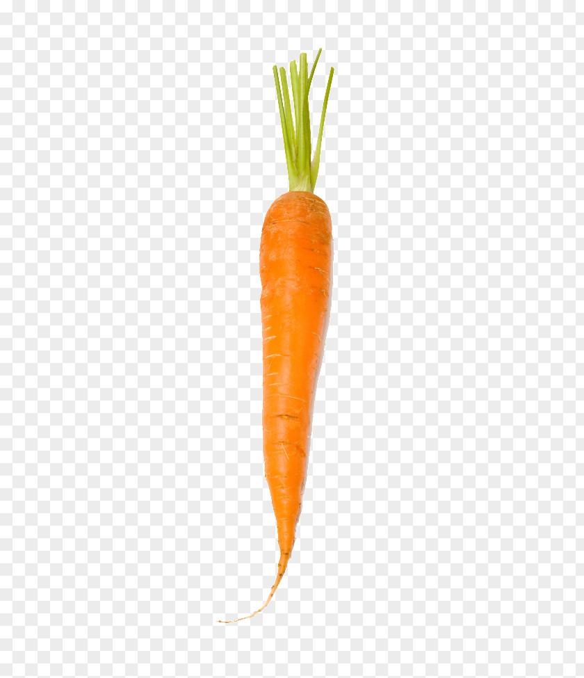 Carrot Baby Orange PNG