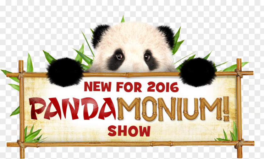 Chessington World Of Adventures Giant Panda Pandamonium Thorpe Park Penguin PNG