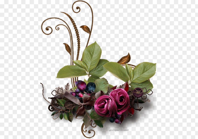 Flower Floral Design Cut Flowers PNG