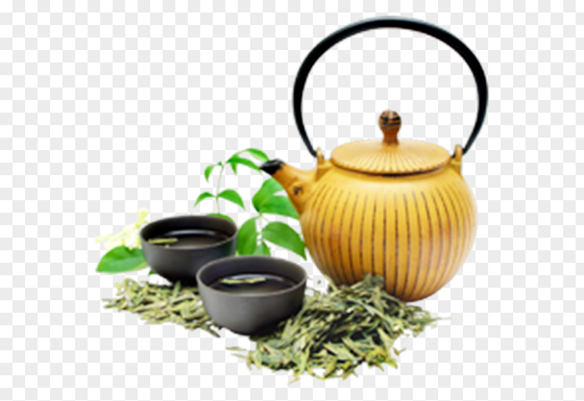 Tea Green White Stock Photography Royalty-free PNG