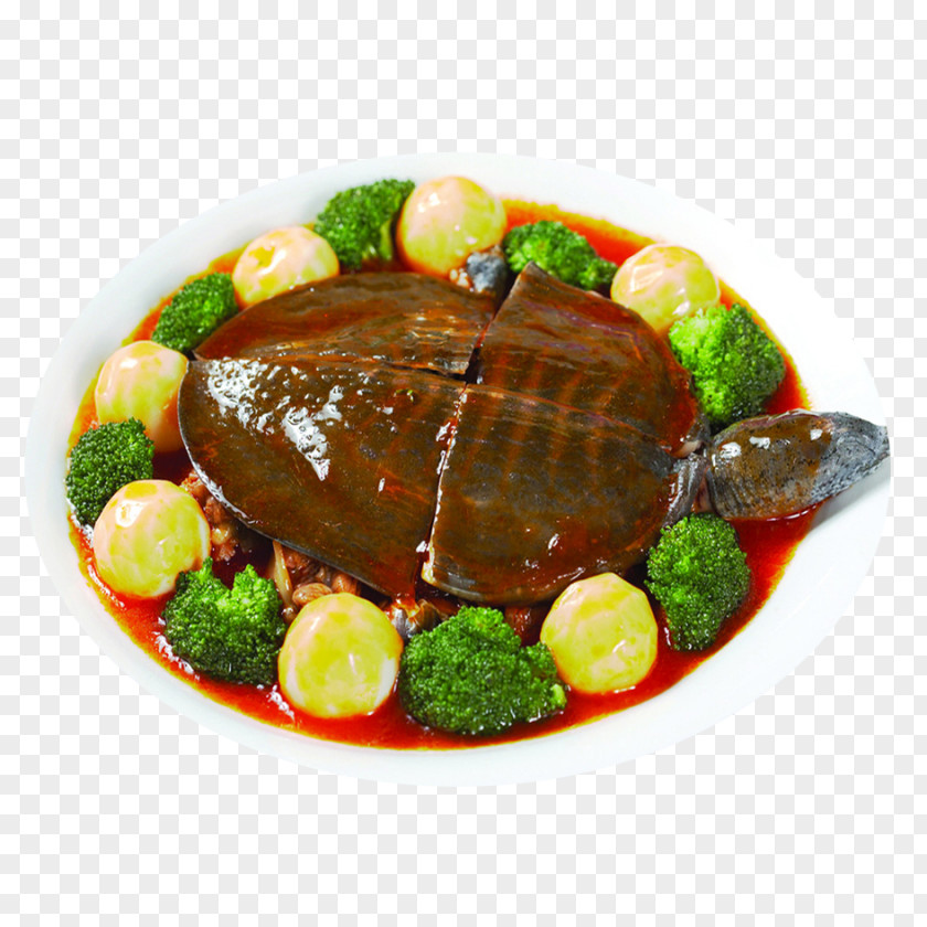 Turtle Stew Nutrient Chinese Softshell Food Nutrition Soup PNG