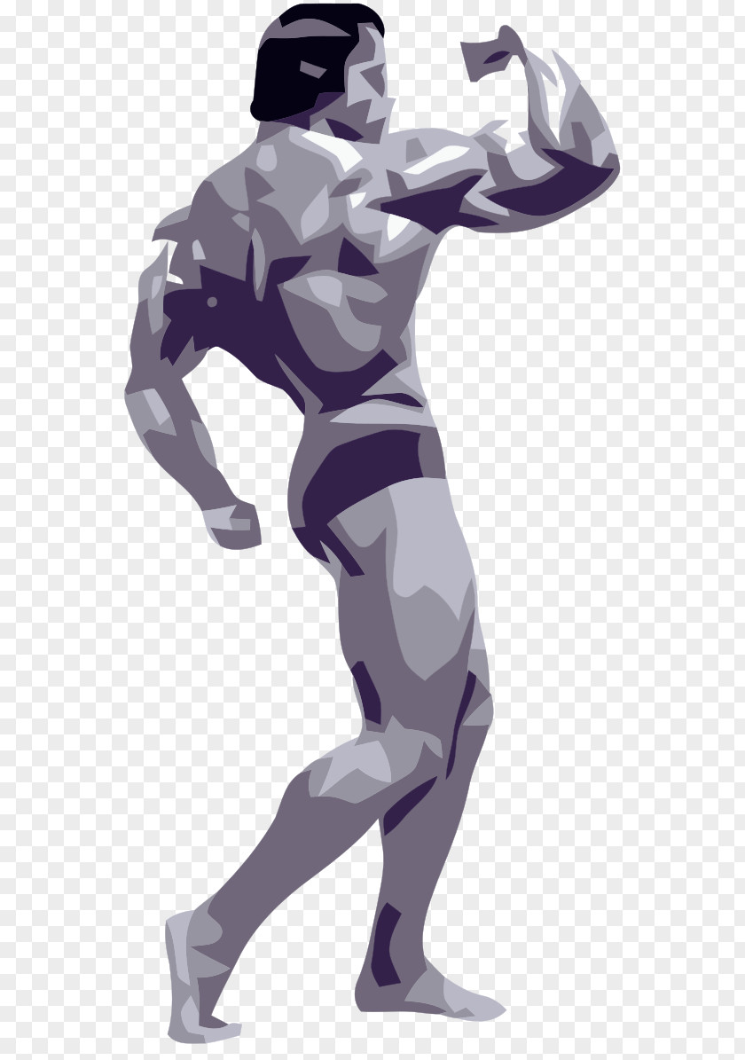 Bodybuilding Weight Training Clip Art PNG
