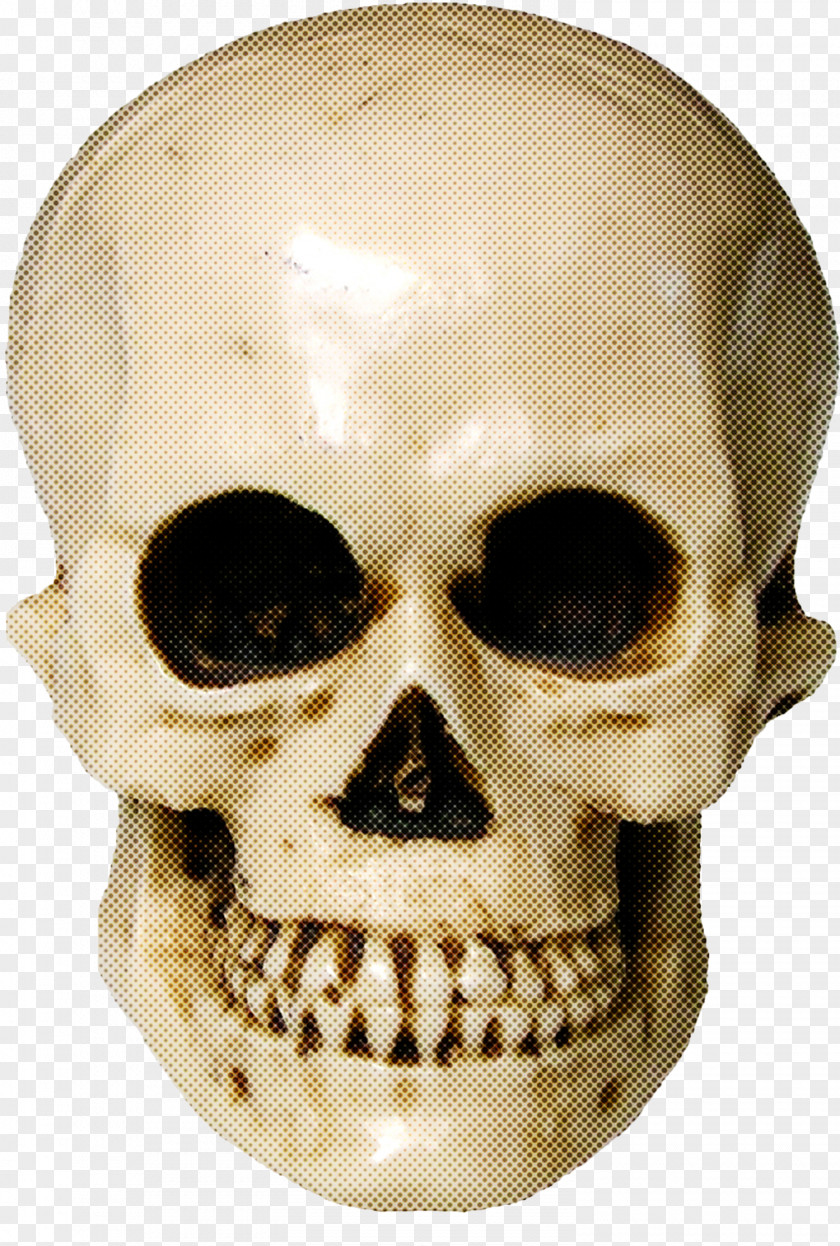 Chin Jaw Bone Skull Face Head Forehead PNG