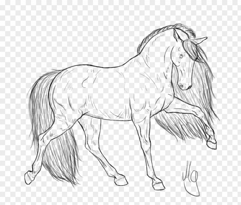 Unicorn Head Arabian Horse Clydesdale Gypsy Foal Friesian PNG
