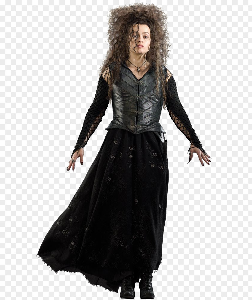 Beatrix Potter Bellatrix Lestrange Harry And The Deathly Hallows Lucius Malfoy Narcissa PNG