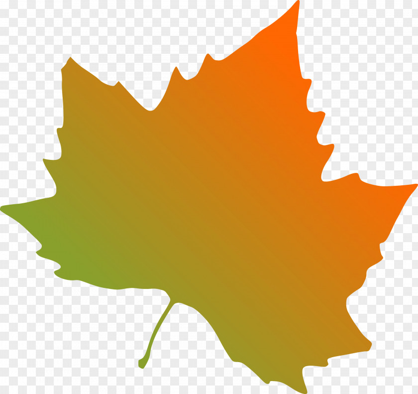 Burning Leaf Clip Art Maple Indiana State University Illustration PNG