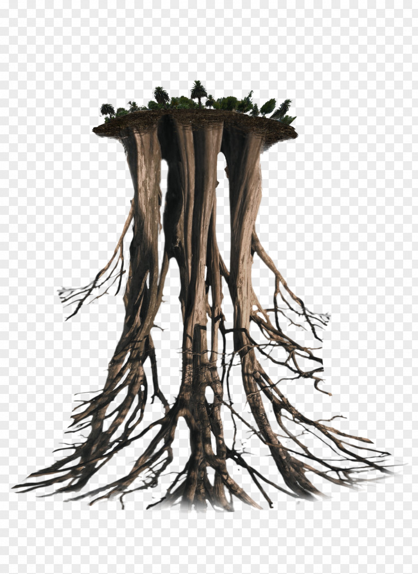 Floating Tree Root Trunk PNG