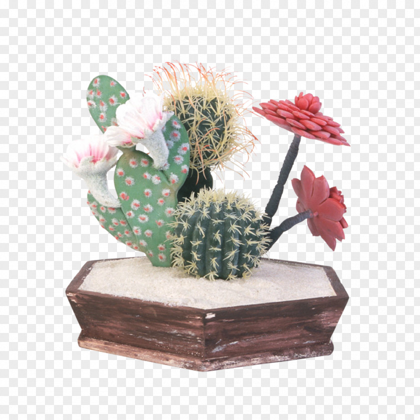 Potted Cactus Cactaceae Flowerpot Prickly Pear Euclidean Vector PNG