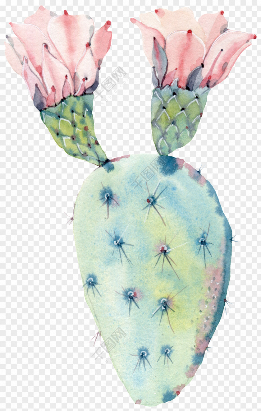 Blooming Design Element Cactus Watercolor Painting Canvas Print Art PNG