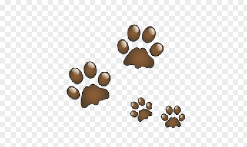 Cat Bear Dog Paw PNG