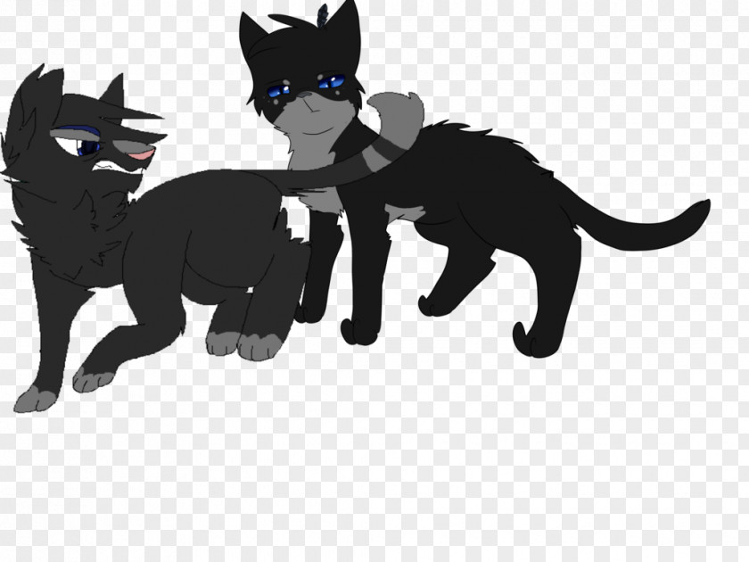 Cat Drawing Silhouette Crowfeather PNG