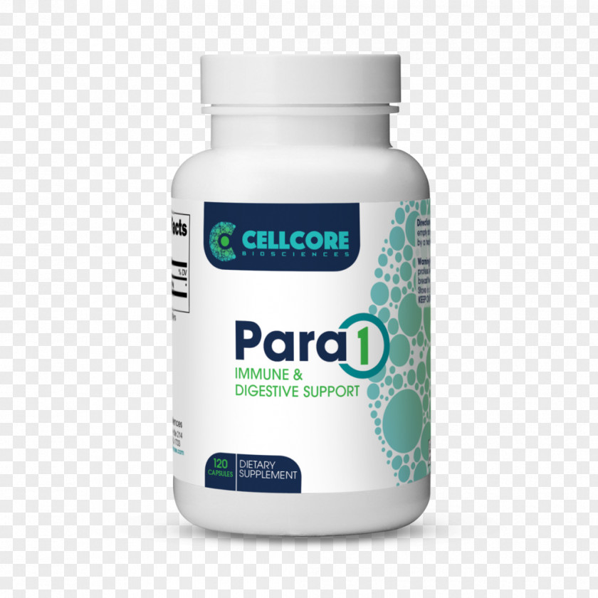 Mimosa Pudica Pará 2 1 Immune System Parasitism Capsule PNG