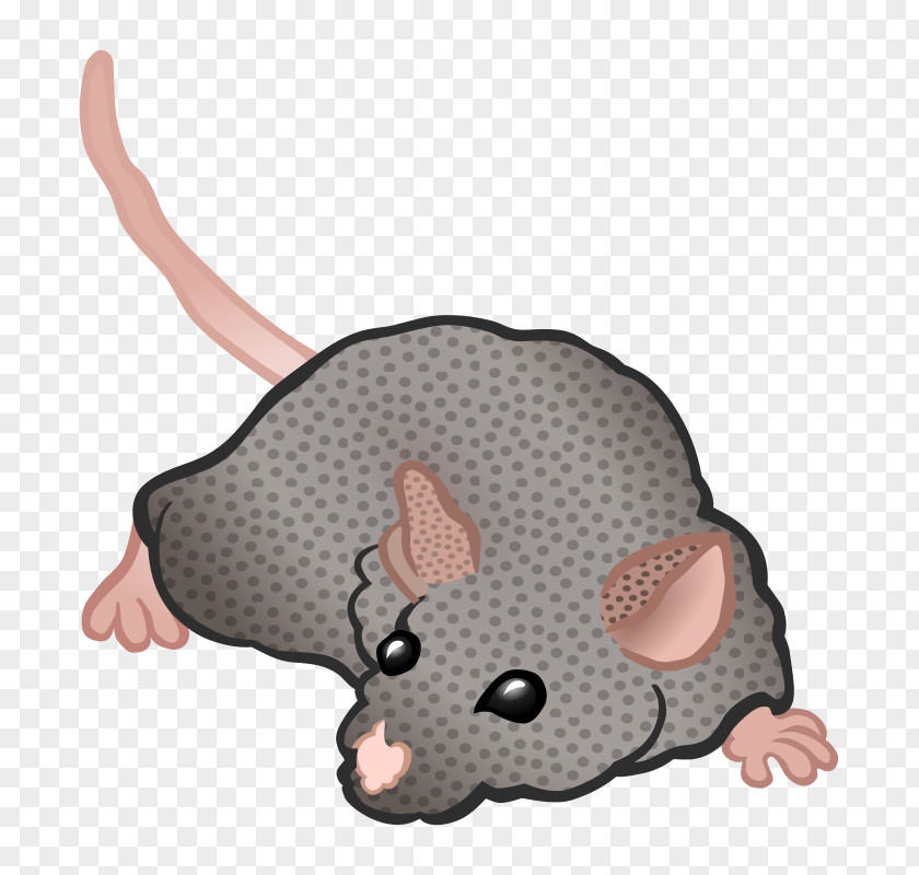 Mouse Computer Rat Rodent PNG