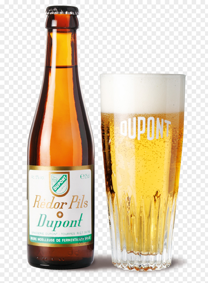 Beer Ale Lager Bottle Pilsner PNG