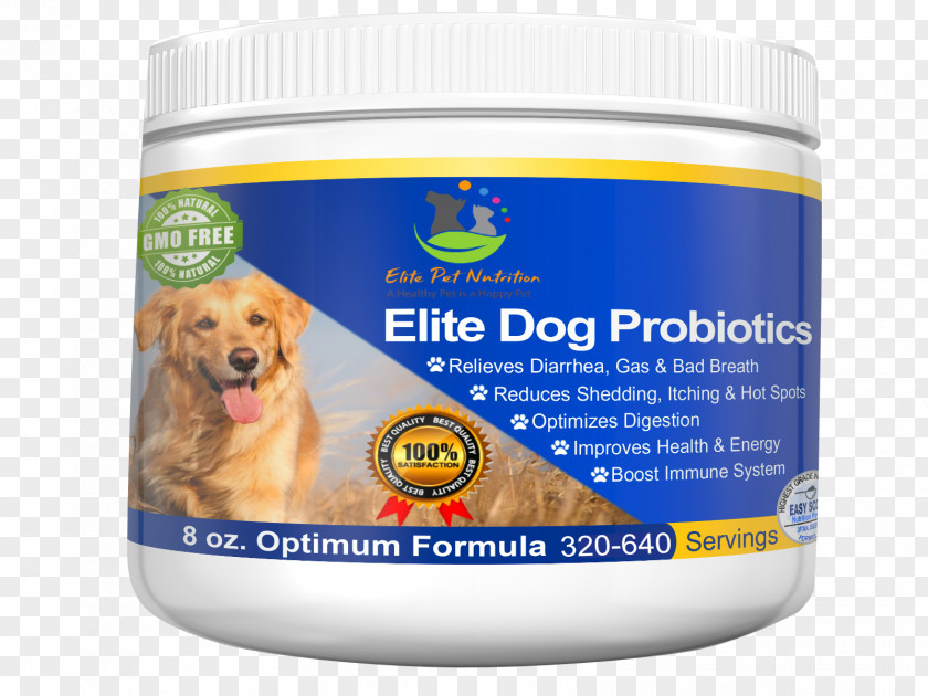 Dog Probiotic Dietary Supplement Cat Veterinarian PNG