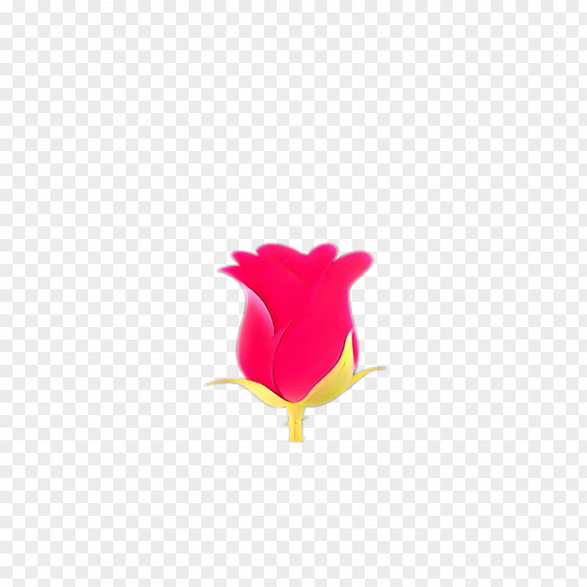 Rose Family Wildflower Pink Flower Cartoon PNG