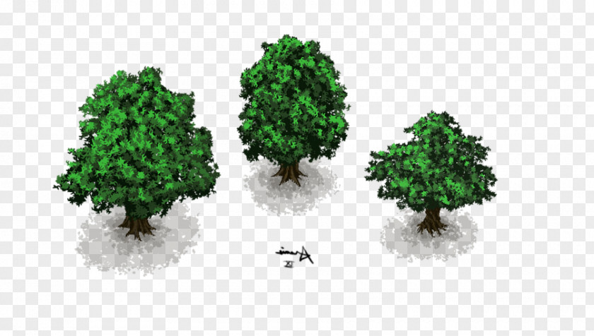 Tree DeviantArt Artist Shrub PNG