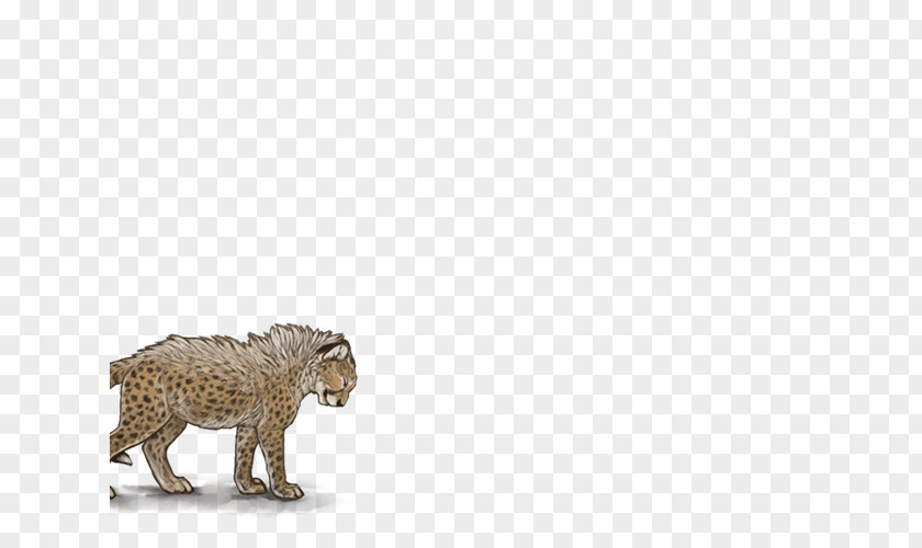 Cheetah Cat Lion Mammal Kitten Boerboel PNG
