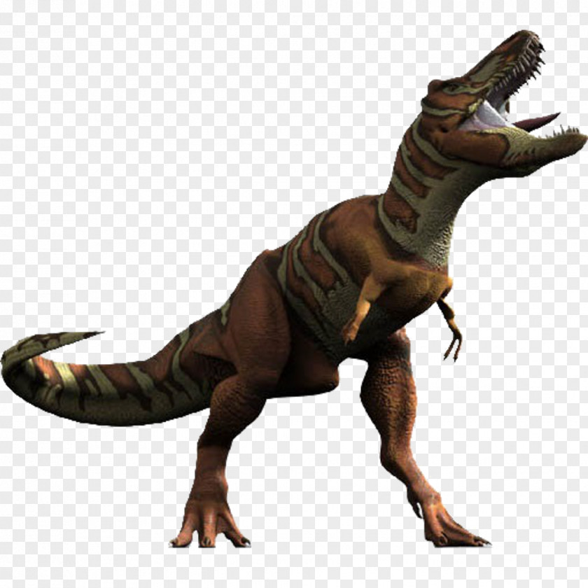Dinosaur Daspletosaurus Torosaurus Ankylosaurus Tyrannosaurus Rex PNG