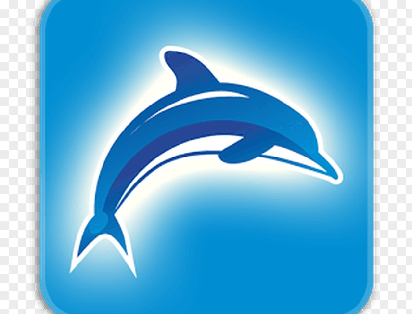 Dolphin Common Bottlenose Font PNG