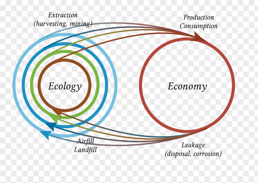 Ecological Systems Theory Graphic Design Product Brand Organism PNG