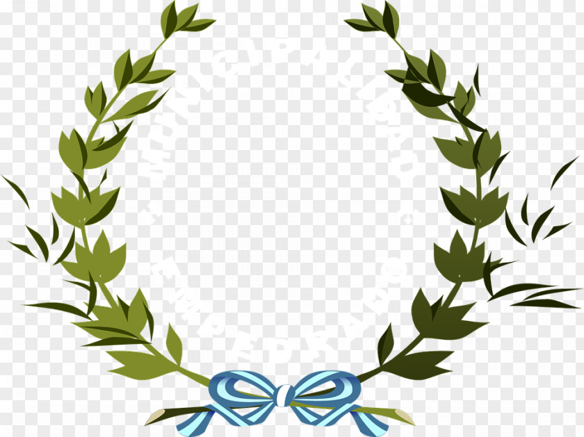Laurel Vector Bay Wreath Olive Clip Art PNG