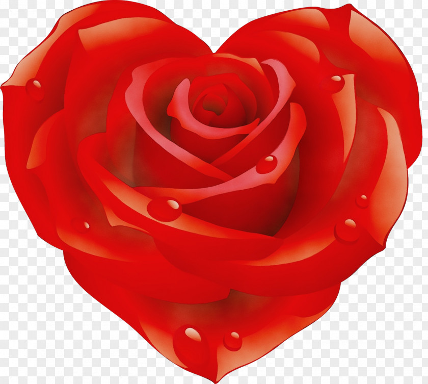 Plant Valentines Day Garden Roses PNG