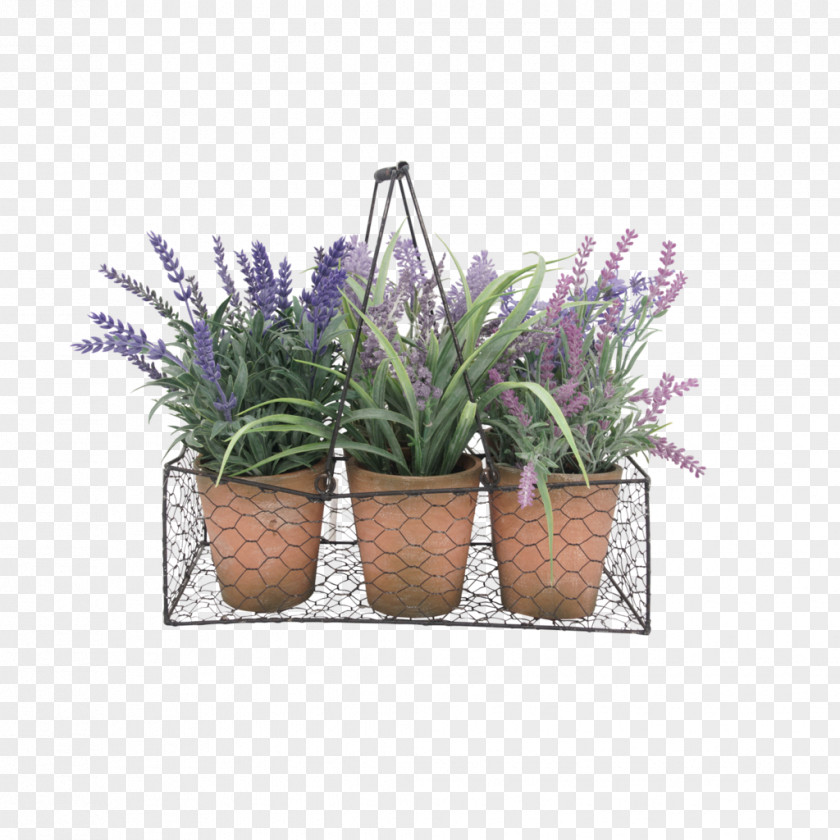 Potted Flowerpot Plastic Material Aucuba Japonica Garden PNG