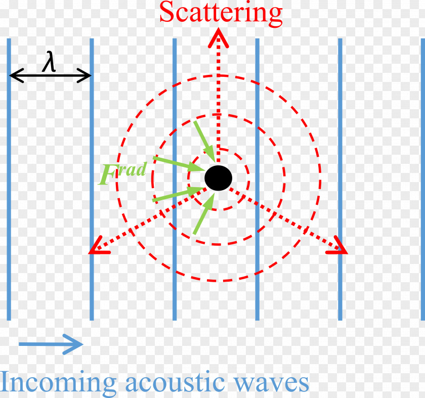 Sound Wave Acoustic Radiation Force Acoustics Tweezers Scattering PNG
