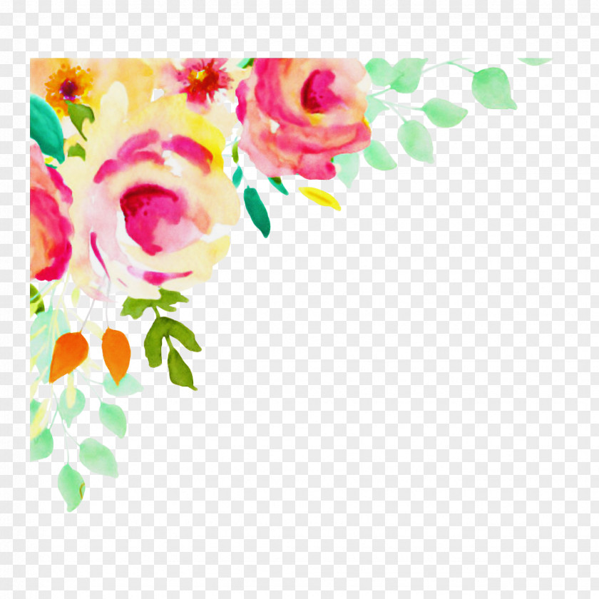 Wildflower Plant Floral Flower Background PNG